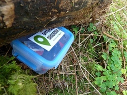 Geo-Caching-Tour durchs Moor
