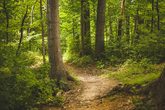 Natur erleben: Klimaschutz- R&auml;tselrallye