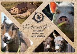 GrubauerGut - Erlebnis am Bauernhof