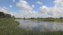 Es gluckst, es piept, es pfeift!