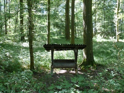 Tiere im Wald