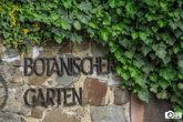 Pflanzen-T&ouml;ne: Ger&auml;usch-Instrumente bauen