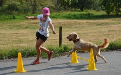 Die Sprache der Hunde verstehen (I)