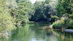 Auf der Suche nach den Tieren in und an der Amper