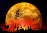 Wheelie & Co -rund ums Mountainbike