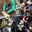 Ferienprogramm mit dem Naturpark-Ranger f&uuml;r Kinder ab 6 Jahren