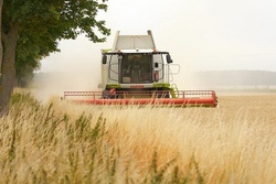 Landwirtschaftliche Olympiade 