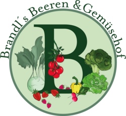 Beeren- und Gem&uuml;sehof Karl Brandl - Betriebsf&uuml;hrung