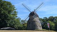 Malen an der Windm&uuml;hle - Museumslandschaft Amt Rodenberg e.V.
