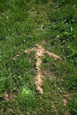 Schnitzeljagd im Wald