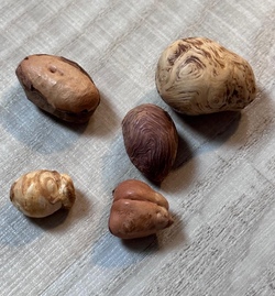 Waldzauberschmuck aus Baumperlen 
