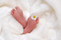 Schnuppervormittag f&uuml;r Babys 