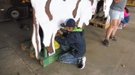 Landwirtschaft zum anfassen
