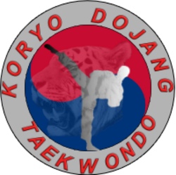 Schnupperkurs Taekwondo