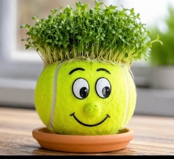 Upcycling Tennisball mit Kresse