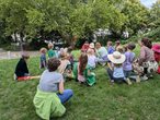 Ein geheimnisvoller Fall im M&auml;rchenwald