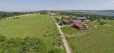 Ein tierisches Erlebnis auf dem Bauernhof