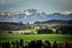 Wald- und Wiesen-Zauberwerke
