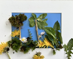 NEU: Collagenbilder aus Naturmaterialien