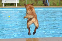 Besuch im Freibad