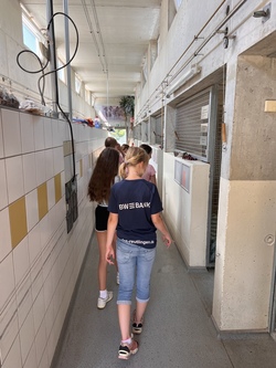 Ein Tag im Tierheim