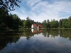 T&uuml;mpeln an der Weiherkette im Museum Wald und Umwelt