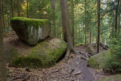 Felsenlabyrinth Luisenburg und Sommerrodeln