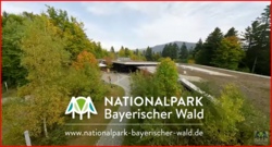 Walddynamik: Ein Flug durch die Ausstellung im Haus zur Wildnis