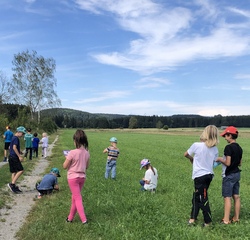 Wer lebt auf der Wiese?