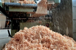 Holz-Abenteuer-Werkstatt