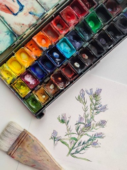 Aquarellmalen f&uuml;r Anf&auml;nger und Fortgeschrittene 1