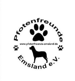 Ein erlebnisreicher Vormittag bei den Pfotenfreunden