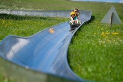 Sommerodeln 