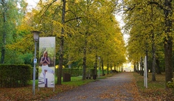 Yolatesweg im Kurpark