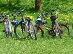 Wir pflegen und reparieren unsere Fahrr&auml;der selber *ausgebucht* 