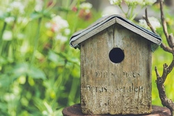 Bunte Nistpl&auml;tze: Gemeinsam Vogelh&auml;user bauen und bemalen