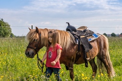 Ponyabenteuer am Schwabhof