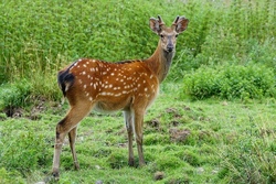 Tiere, Spa&szlig; und Spiel im Wildpark Poing