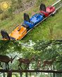 Sommerrodelbahn & Wildpark Thale