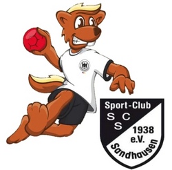 Handball and more
