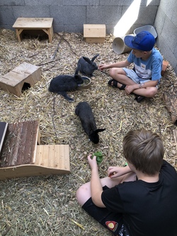 Unsere Tiere