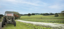 Vom Beet zur Ernte - Gem&uuml;se entdecken auf dem Biohof Knaus in Mussenhausen