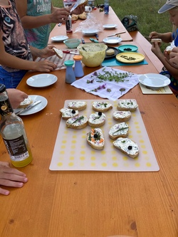 Wildkr&auml;uter erkennen und sammeln mit Kr&auml;uterexpertin Margarete Weiblen