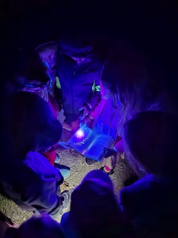 Lange Nacht der B&uuml;cher