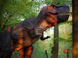 Ein Tag im Zoo + Dino Abenteuer