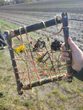 Naturbilder im Rahmen