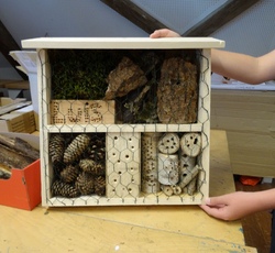 Insektenhotel bauen