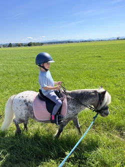 Spannende Reit- und Ponyzeit mit unseren Schulpferden