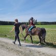 Spannende Reit- und Ponyzeit mit unseren Schulpferden