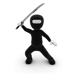 BIST DU EIN NINJA WARRIOR? 